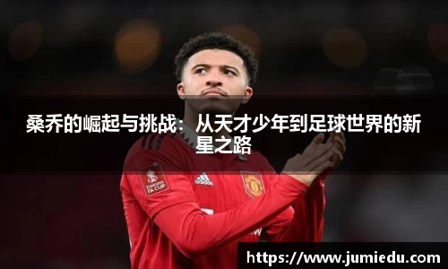 熊猫体育